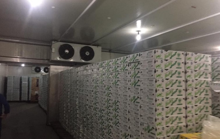 Lắp đặt kho lạnh uy tín chất lượng tại Hà Nội