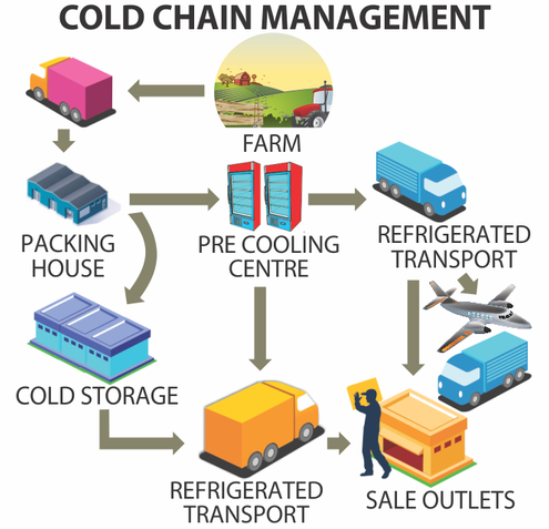 Phát triển mạnh mẽ chuỗi cung ứng lạnh